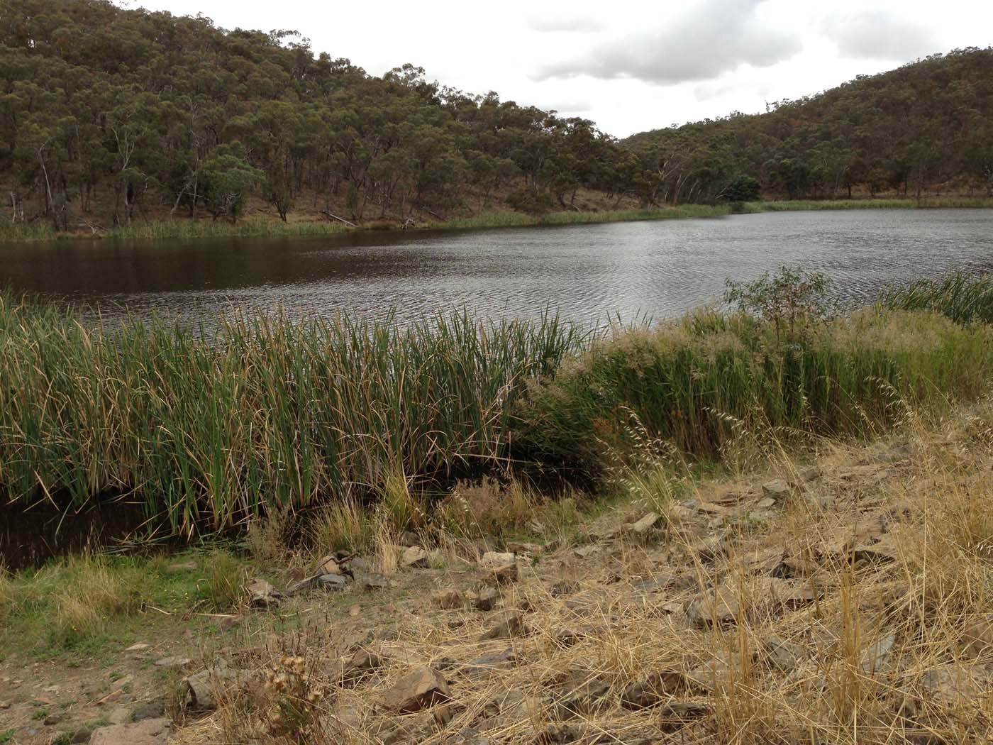 Castlemaine diggings hike 17