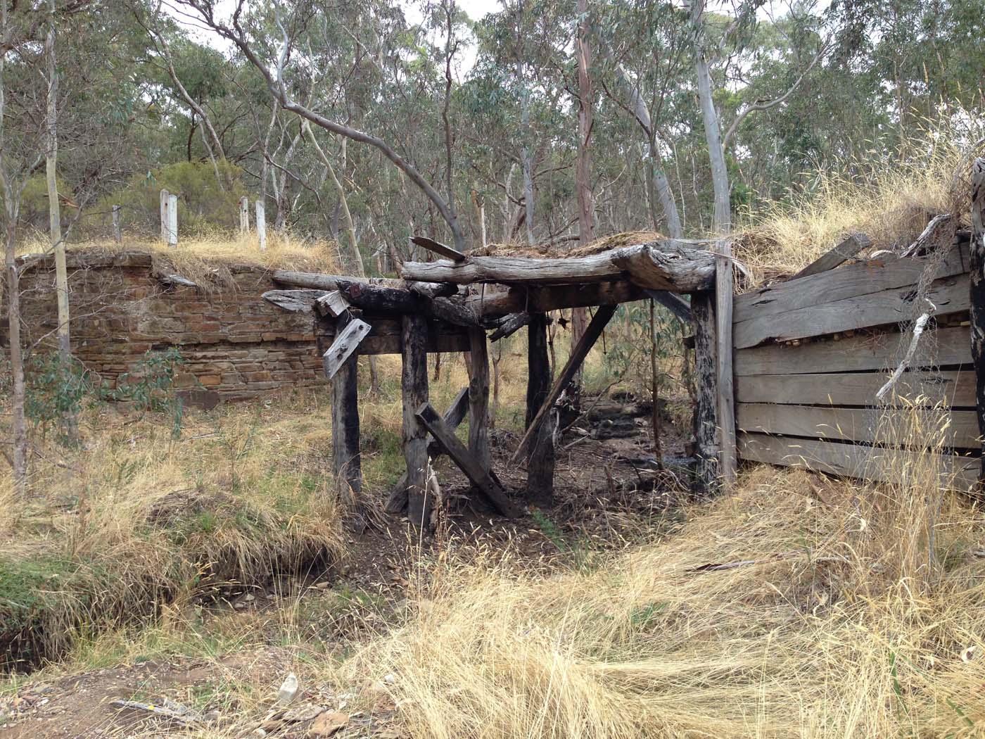 Castlemaine diggings hike 21