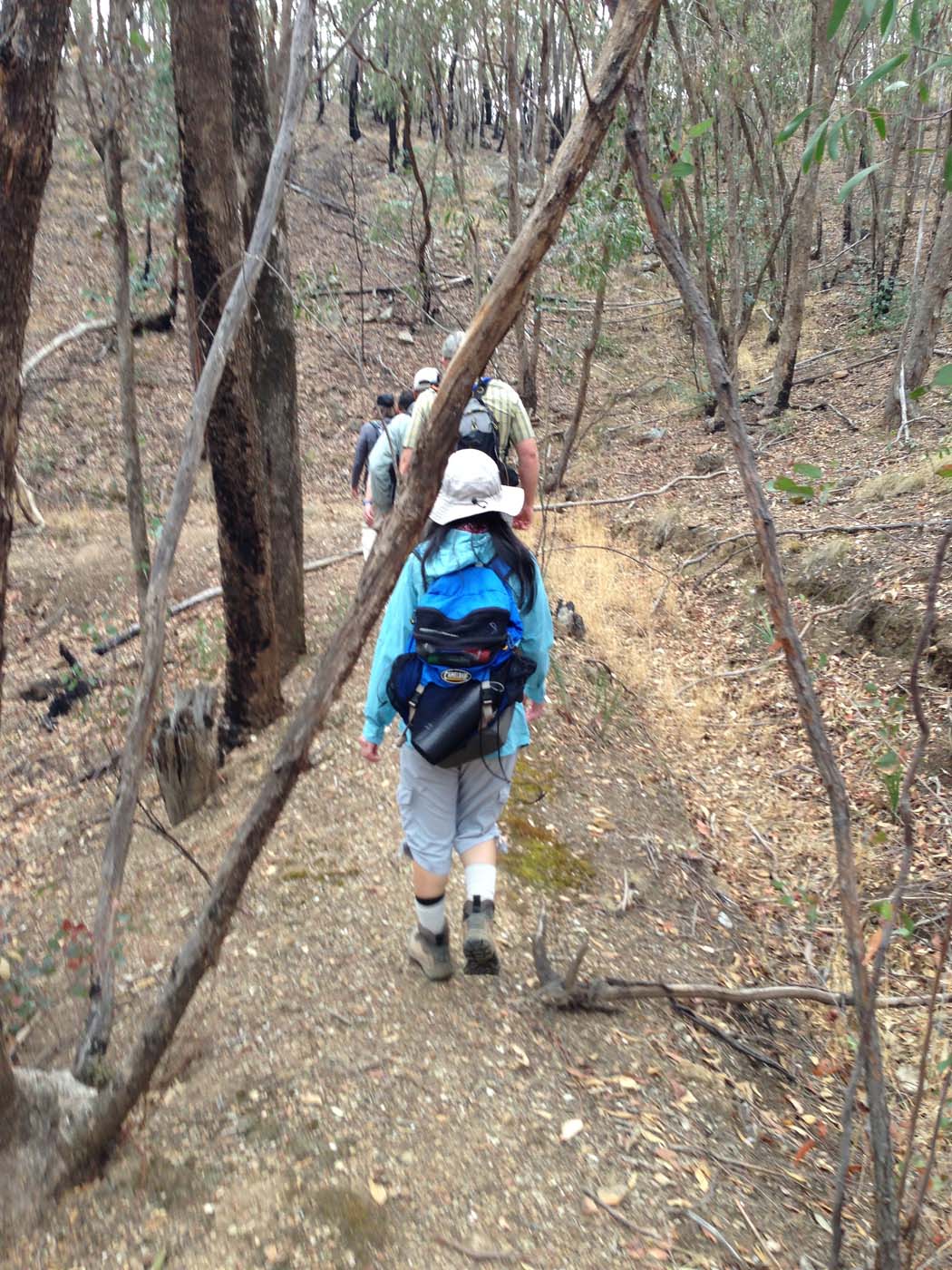 Castlemaine diggings hike 5