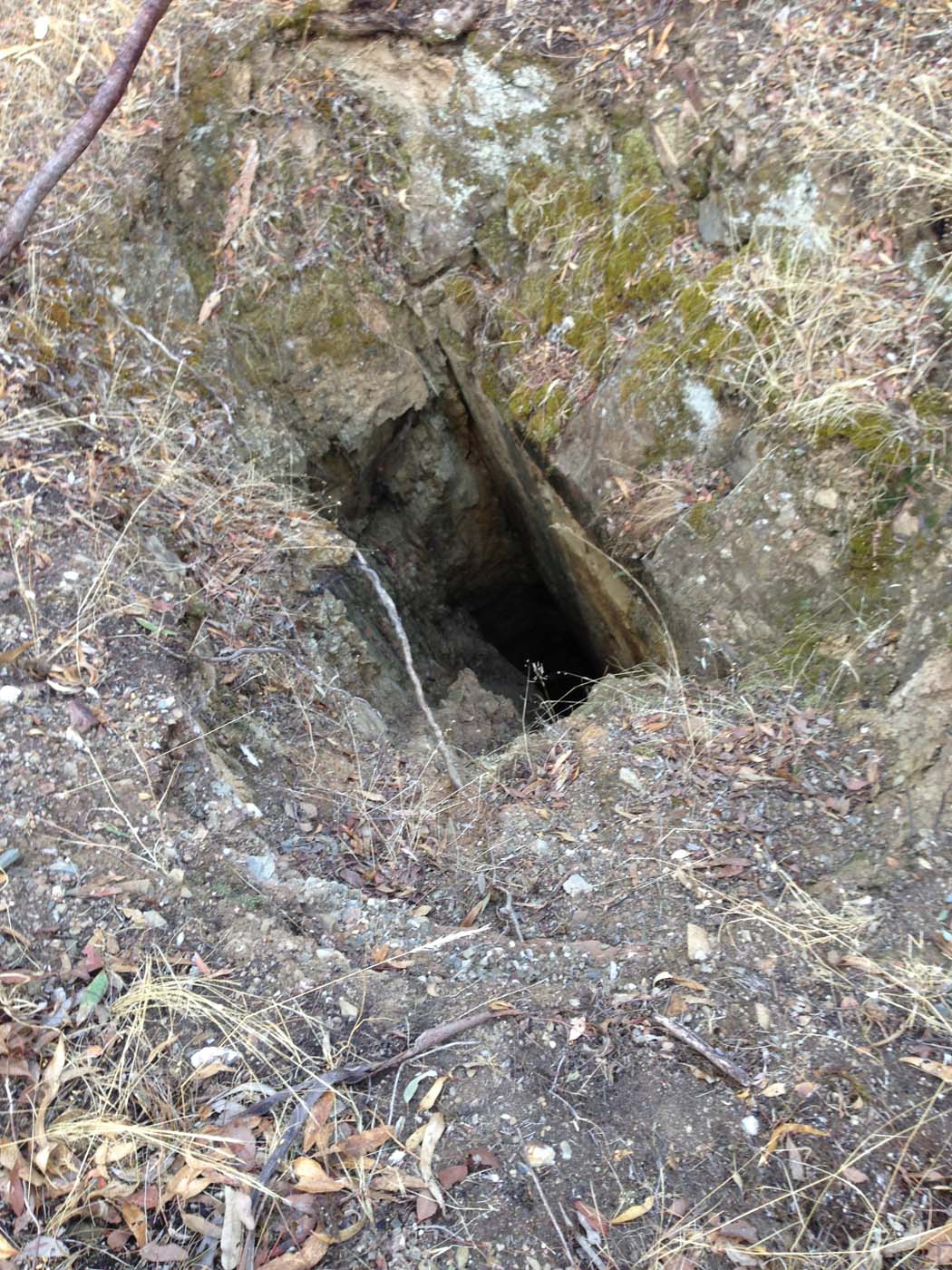 Castlemaine diggings hike 6