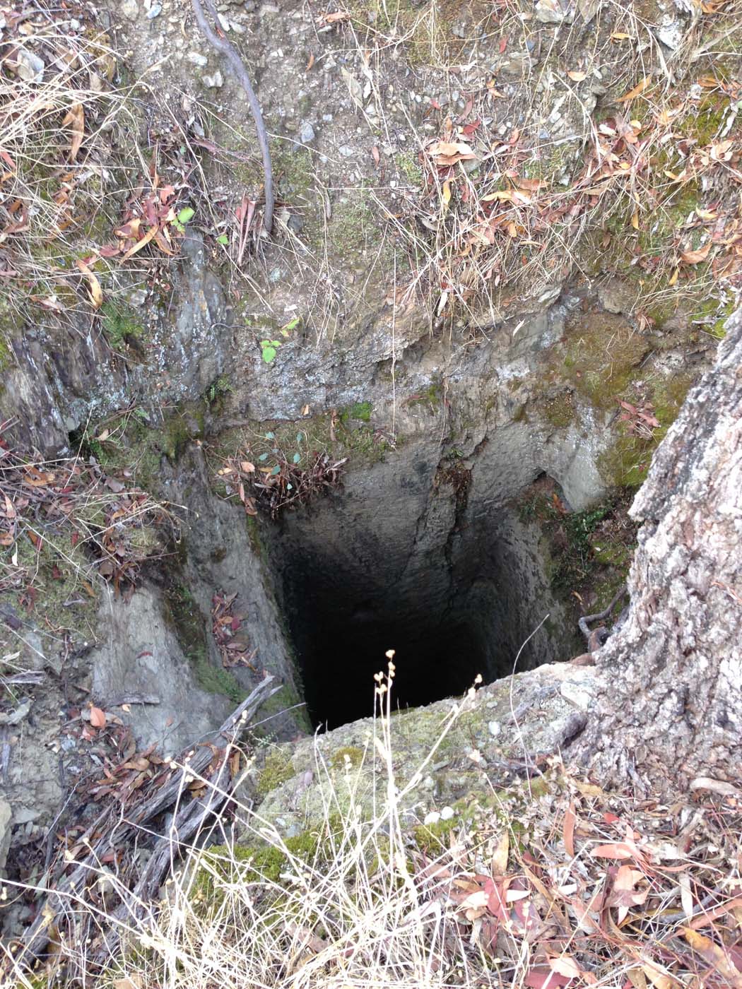 Castlemaine diggings hike 7