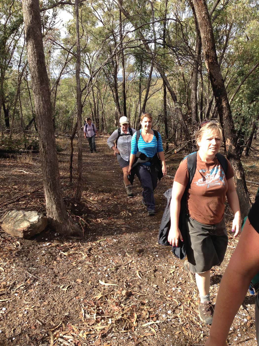 Castlemaine diggings hike 8