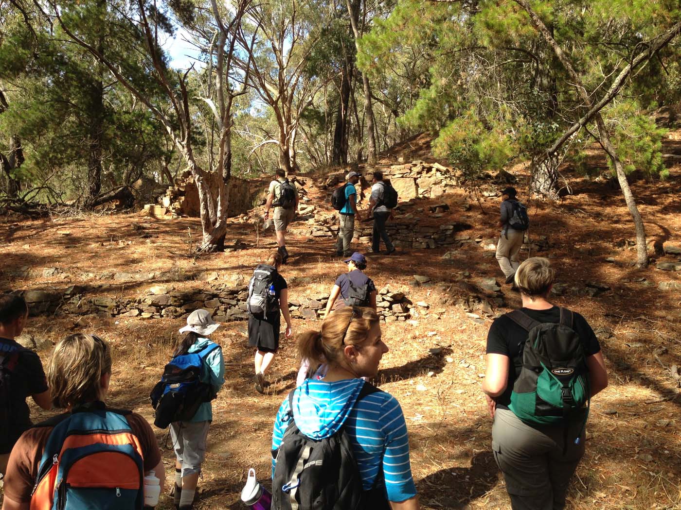 Castlemaine diggings hike 9