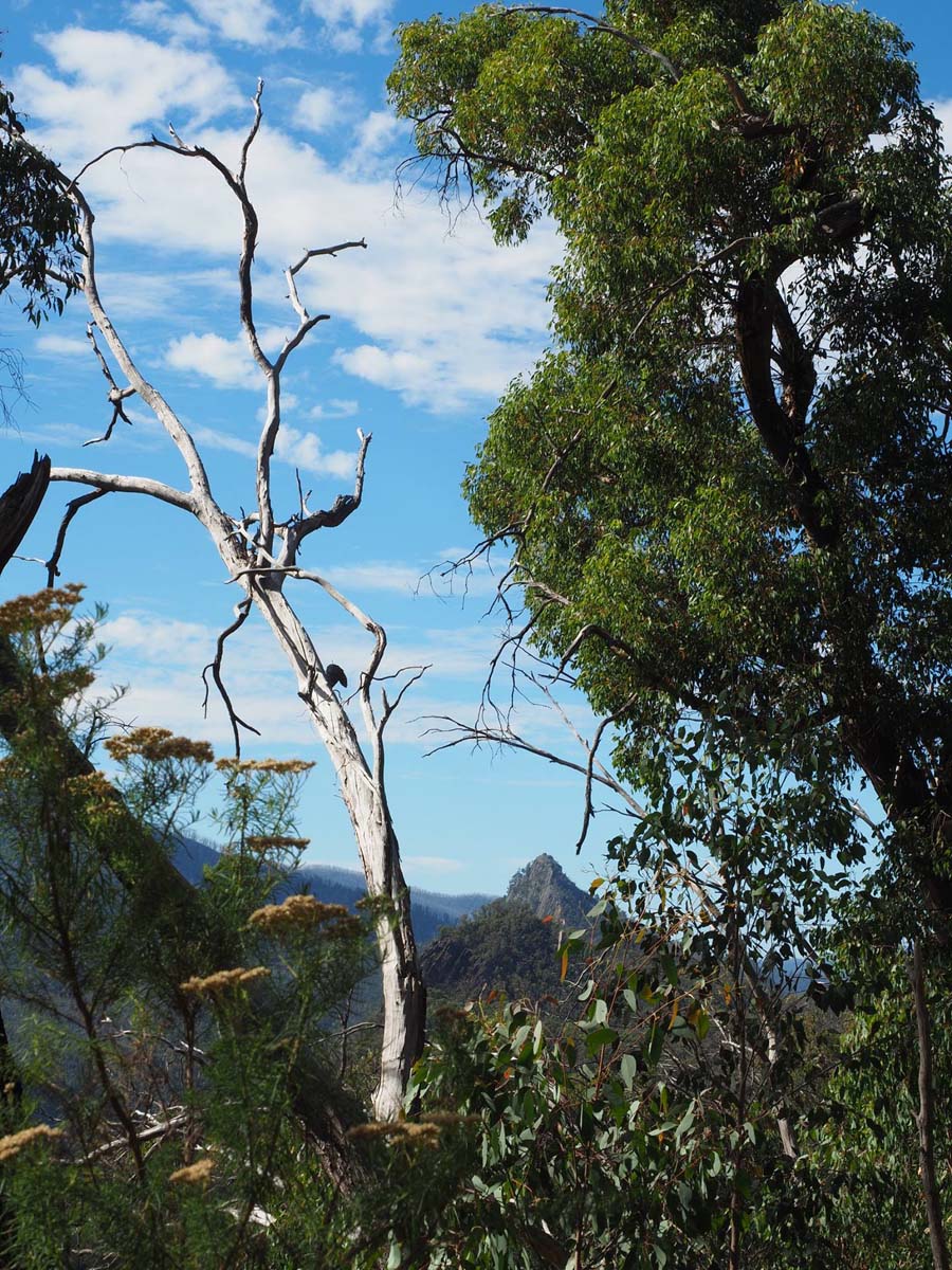 Cathedral range cathedral & jawbones hike 20