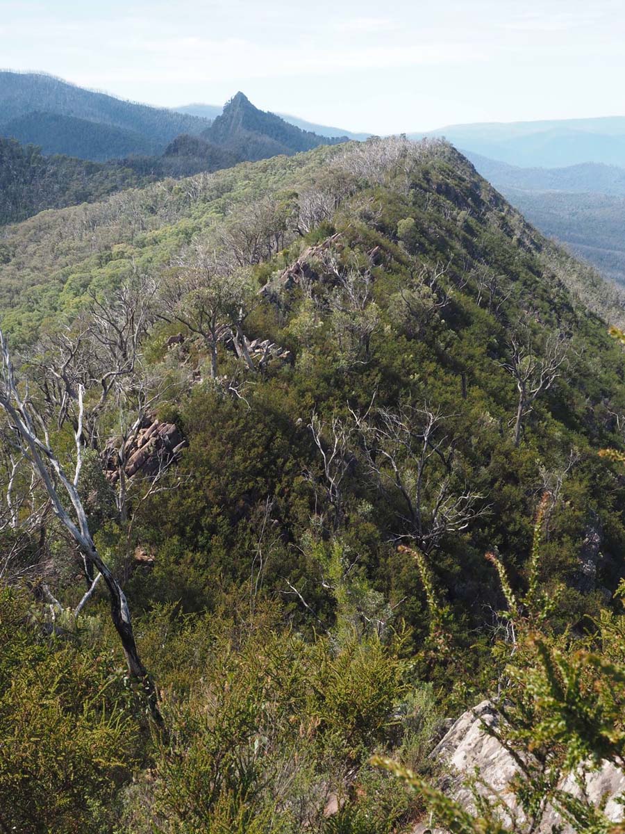 Cathedral range cathedral & jawbones hike 3