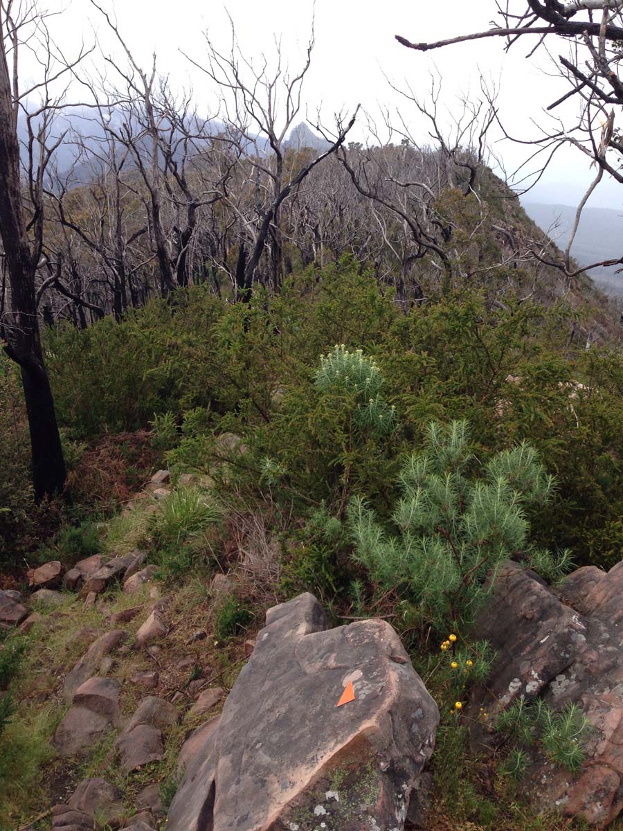 Cathedral range ridgeline circuit hike 5