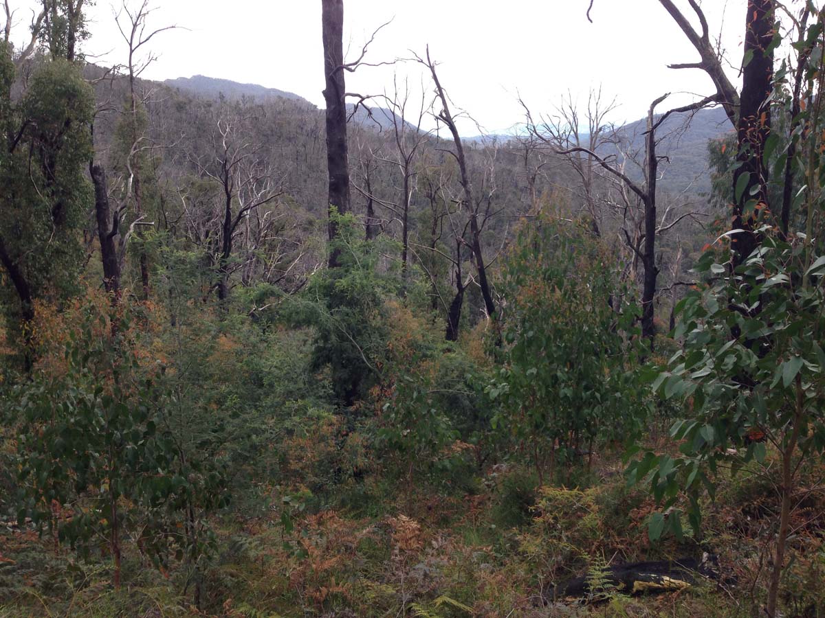Cathedral range southern circuit hike 71