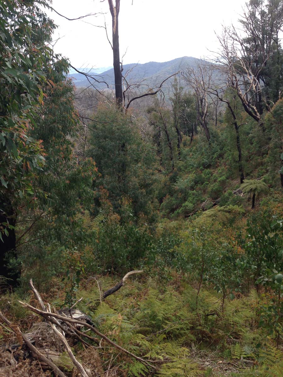 Cathedral range southern circuit hike 82