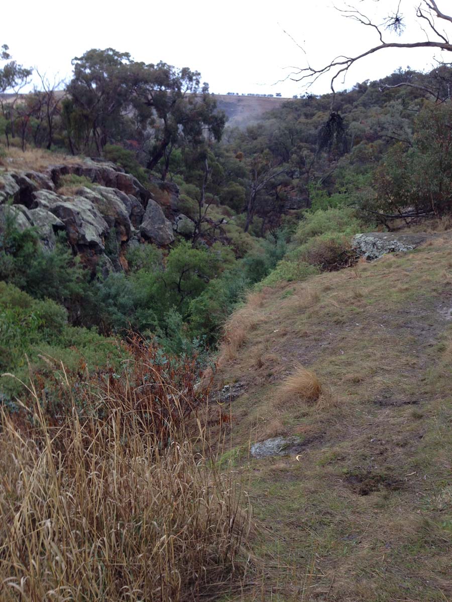Centenary walk & the island hike 1