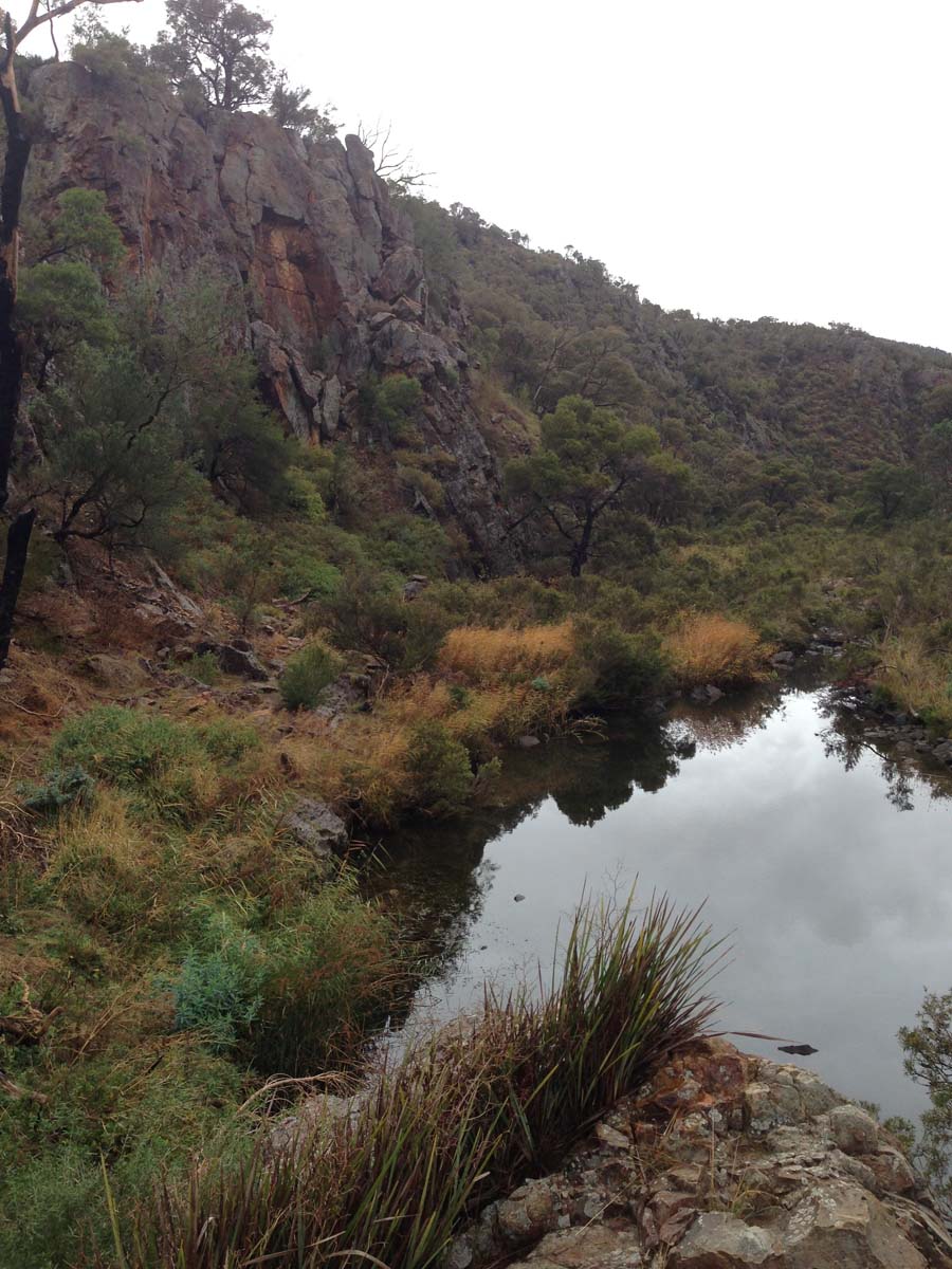 Centenary walk & the island hike 10