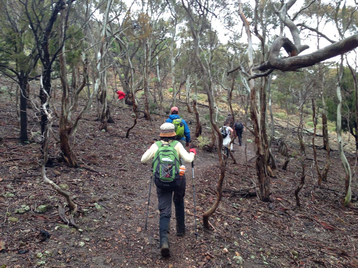 Centenary walk & the island hike 11
