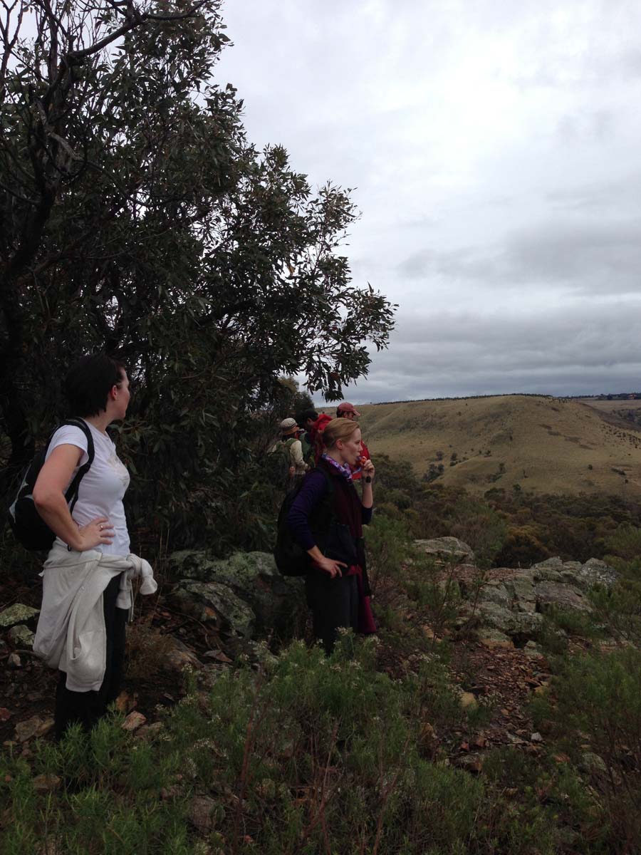 Centenary walk & the island hike 12