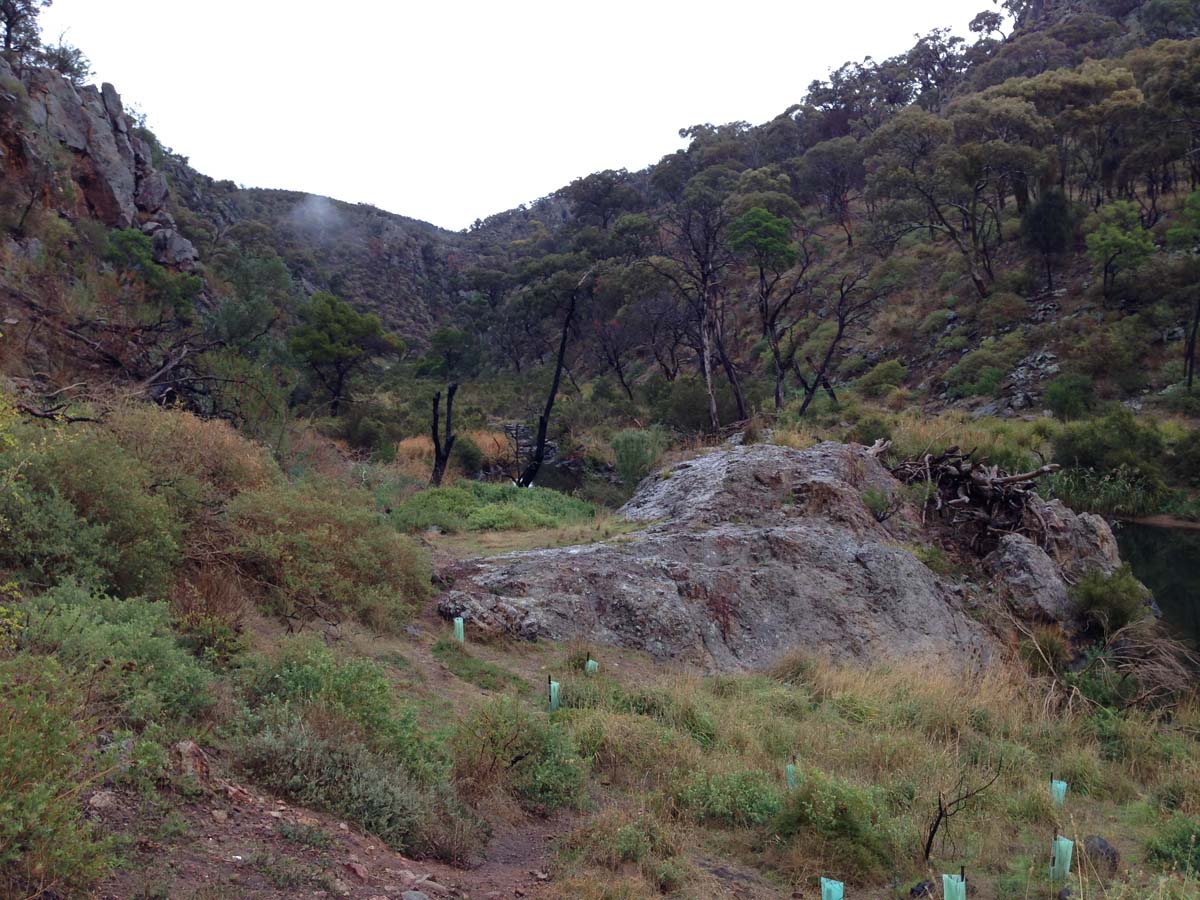 Centenary walk & the island hike 2