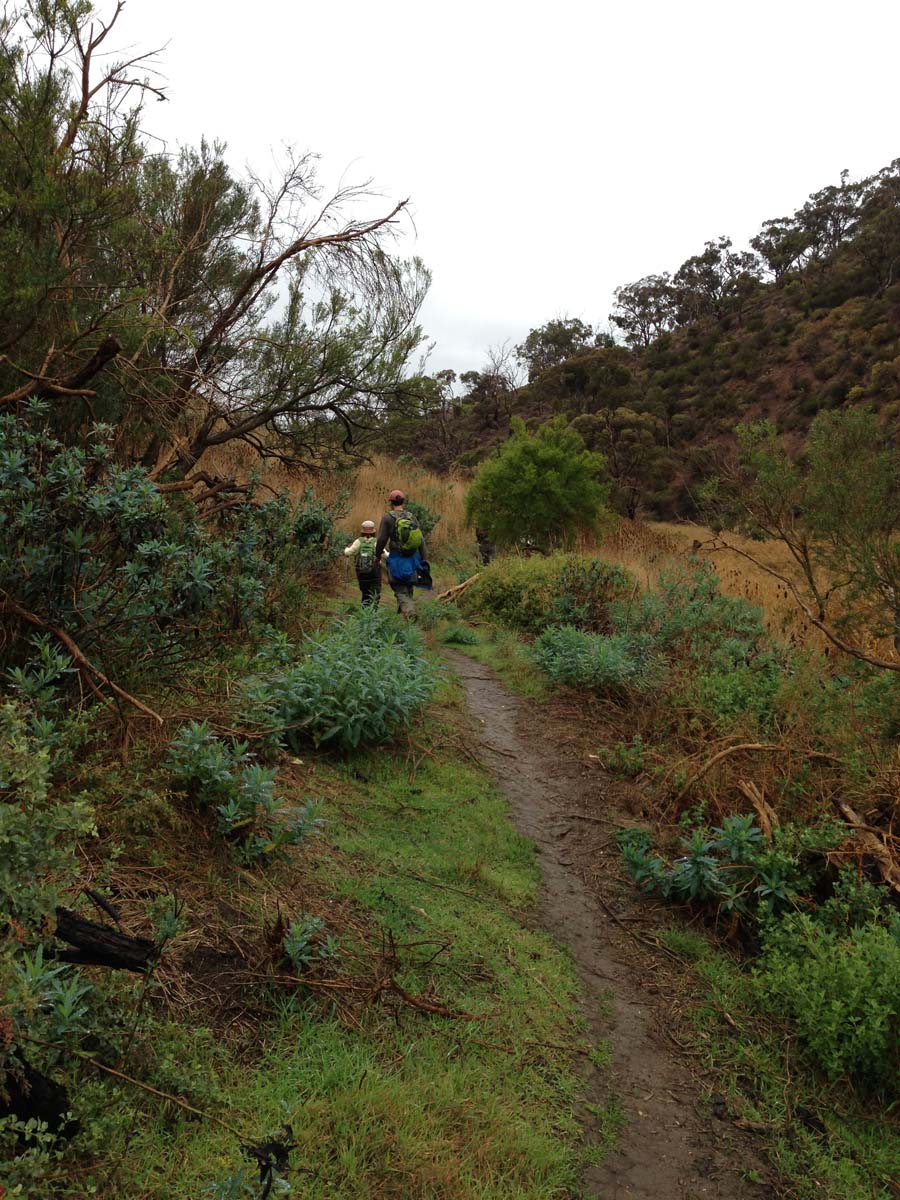 Centenary walk & the island hike 3