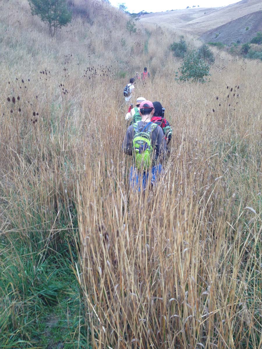 Centenary walk & the island hike 4