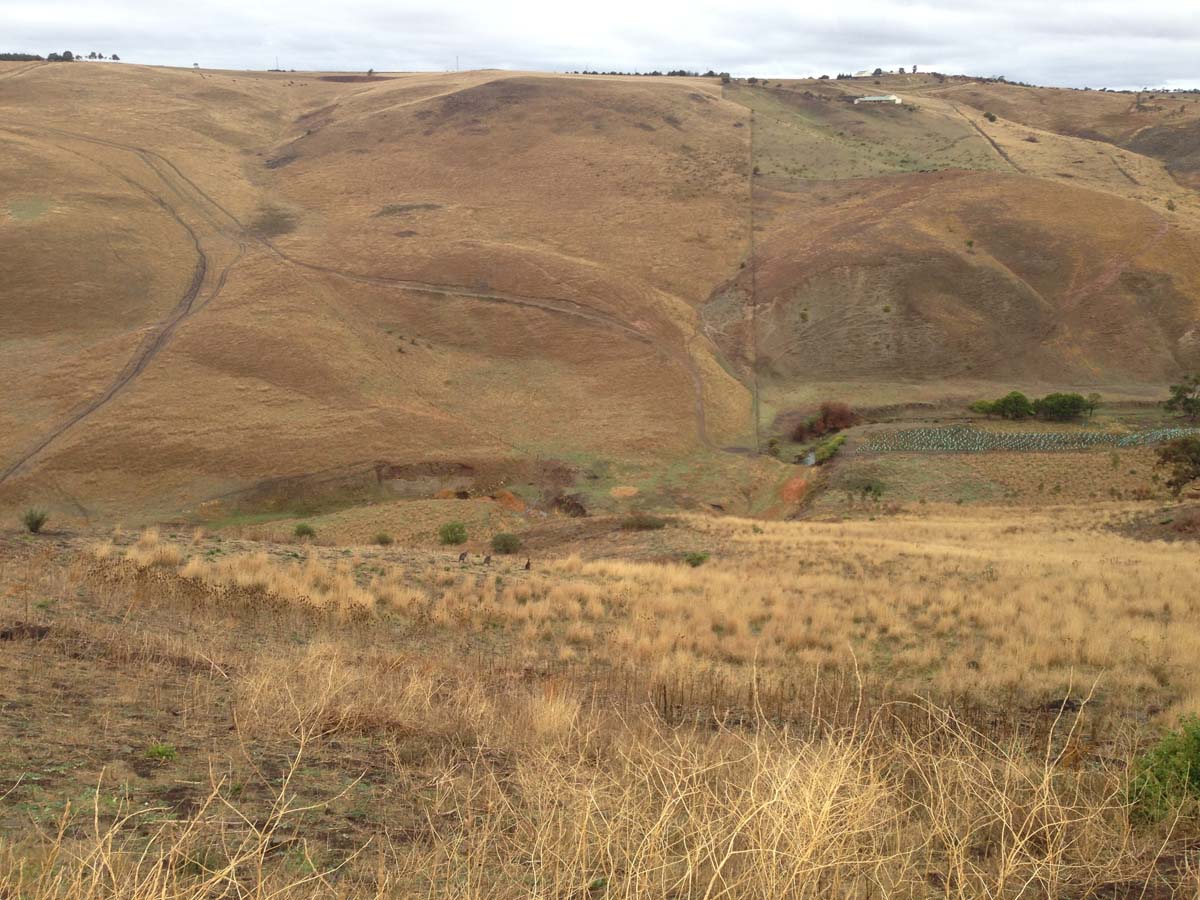 Centenary walk & the island hike 5