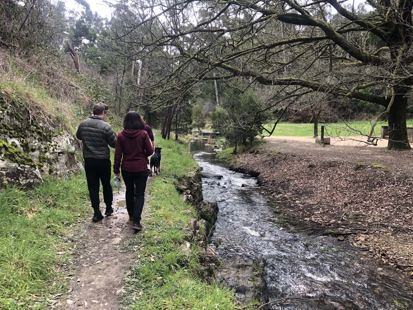Central tipperary springs hike (5)
