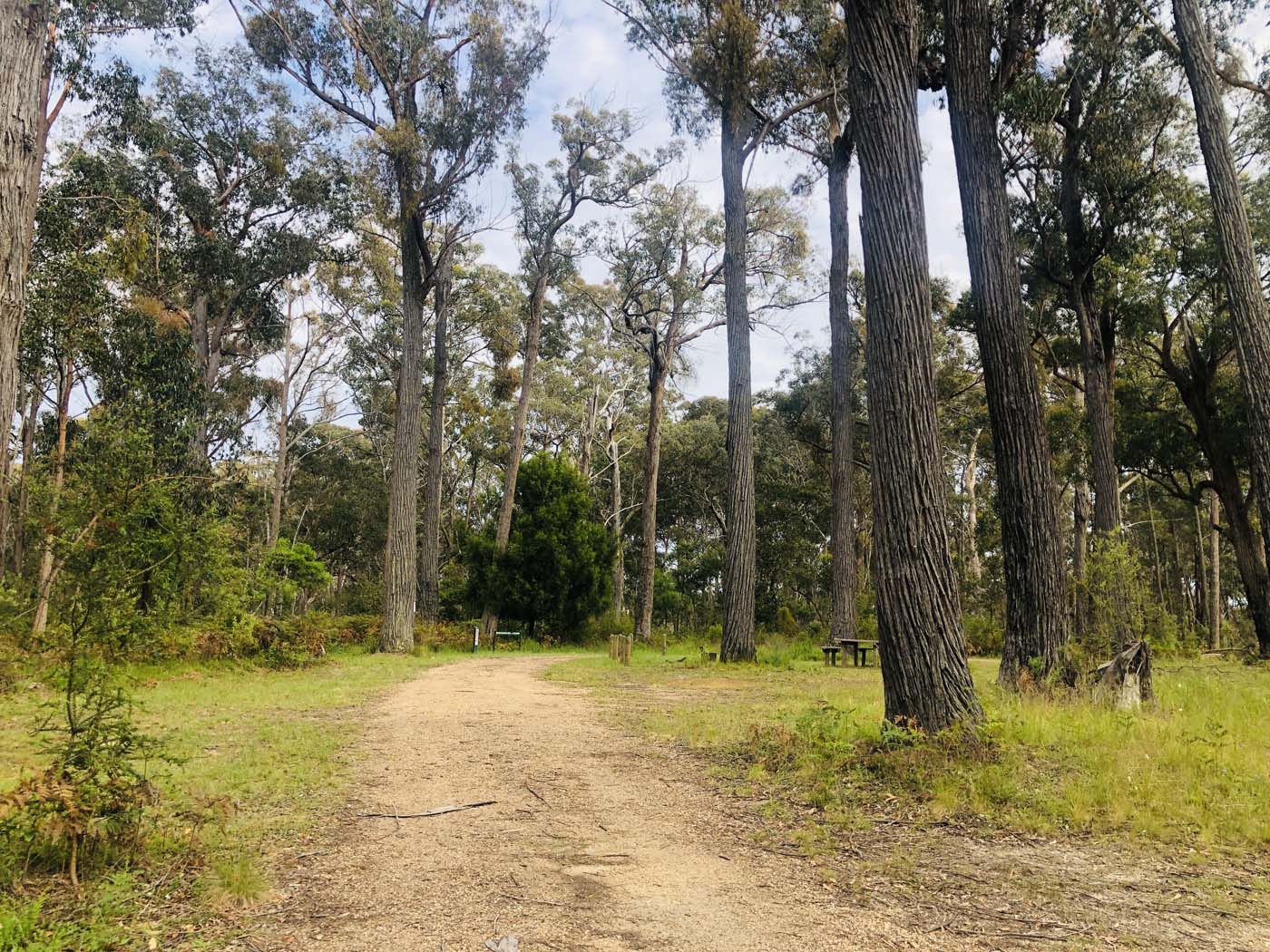 Cherry tree circuit hike (12)