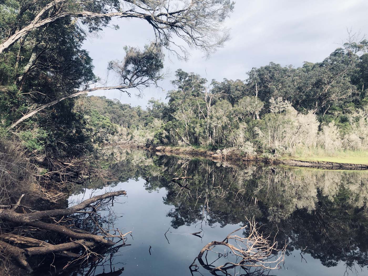 Cherry tree circuit hike (17)