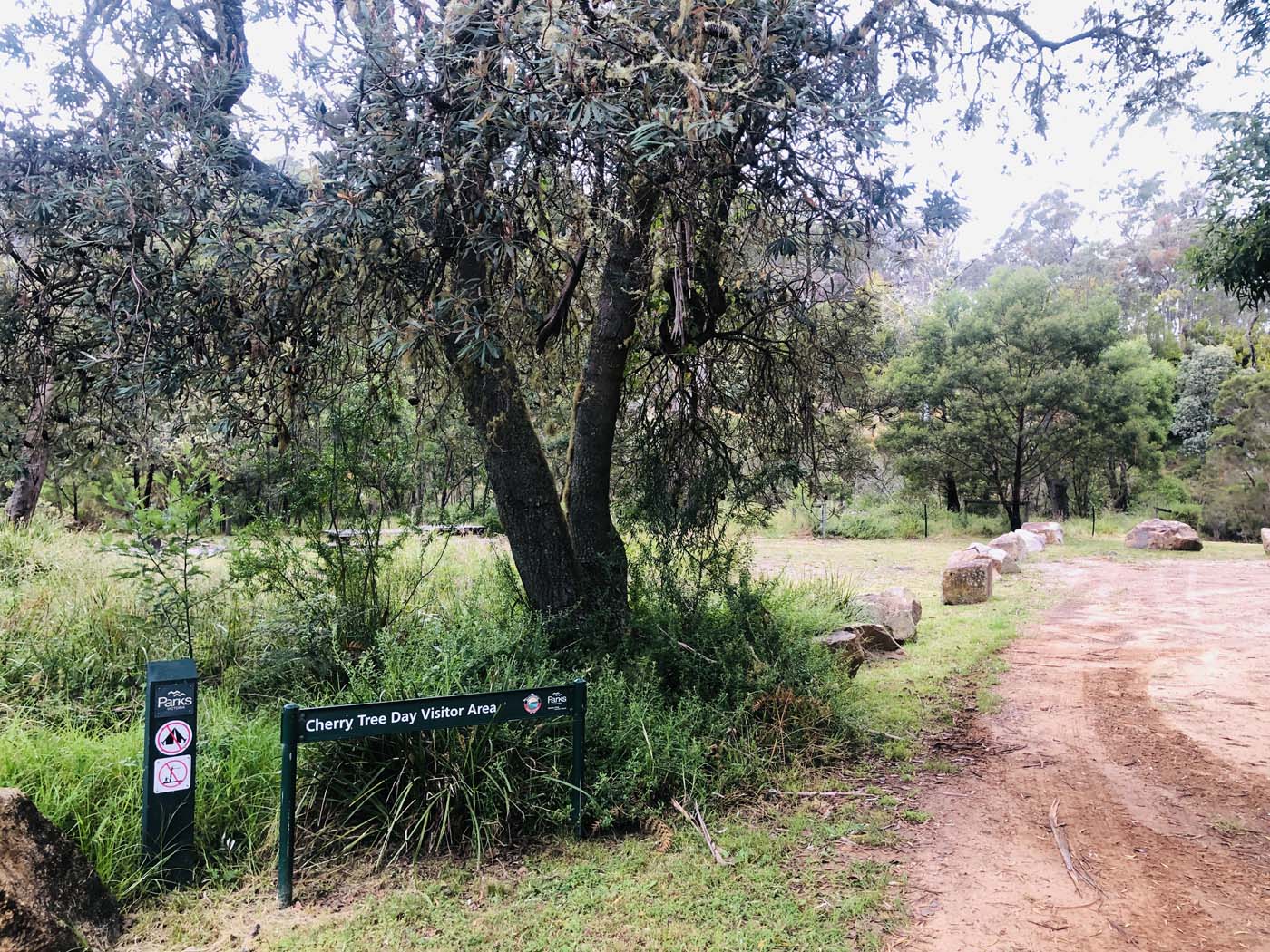 Cherry tree circuit hike (19)