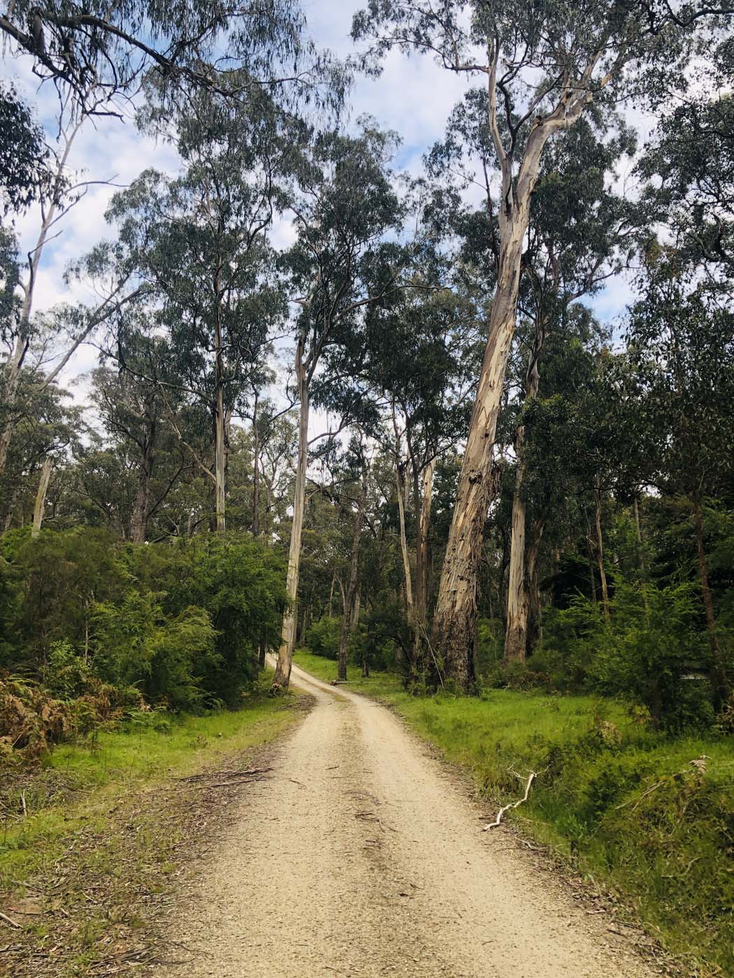 Cherry tree circuit hike (22)