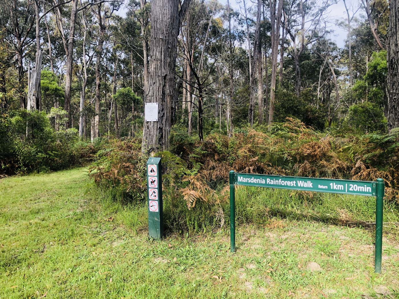 Cherry tree circuit hike (24)