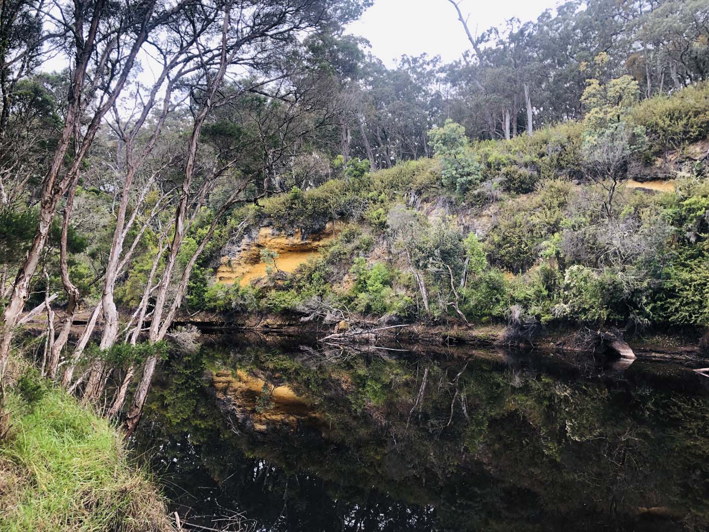 Cherry tree circuit hike (4)