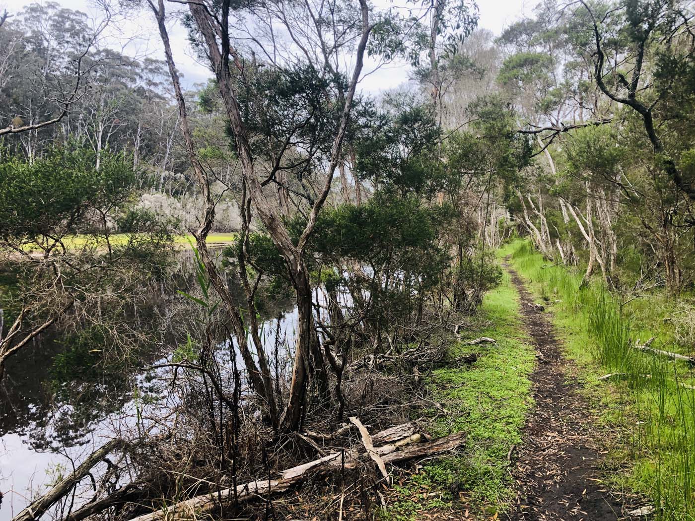 Cherry tree circuit hike (7)