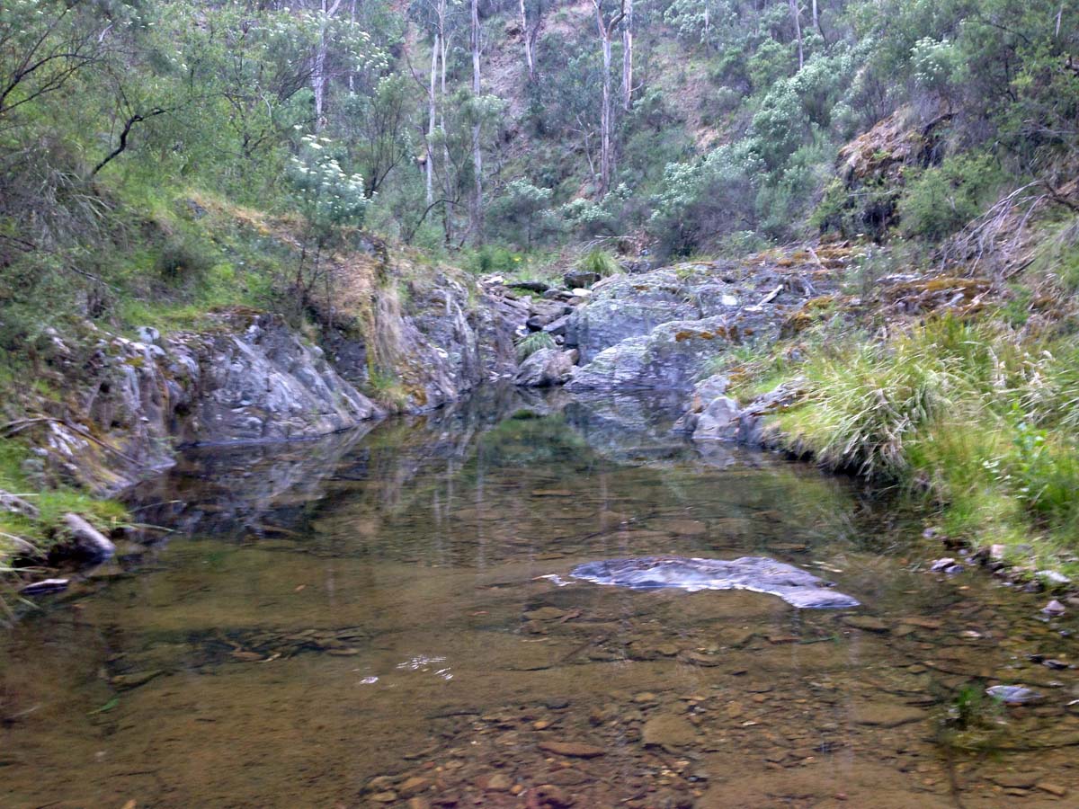 Clearwater gully hike 10