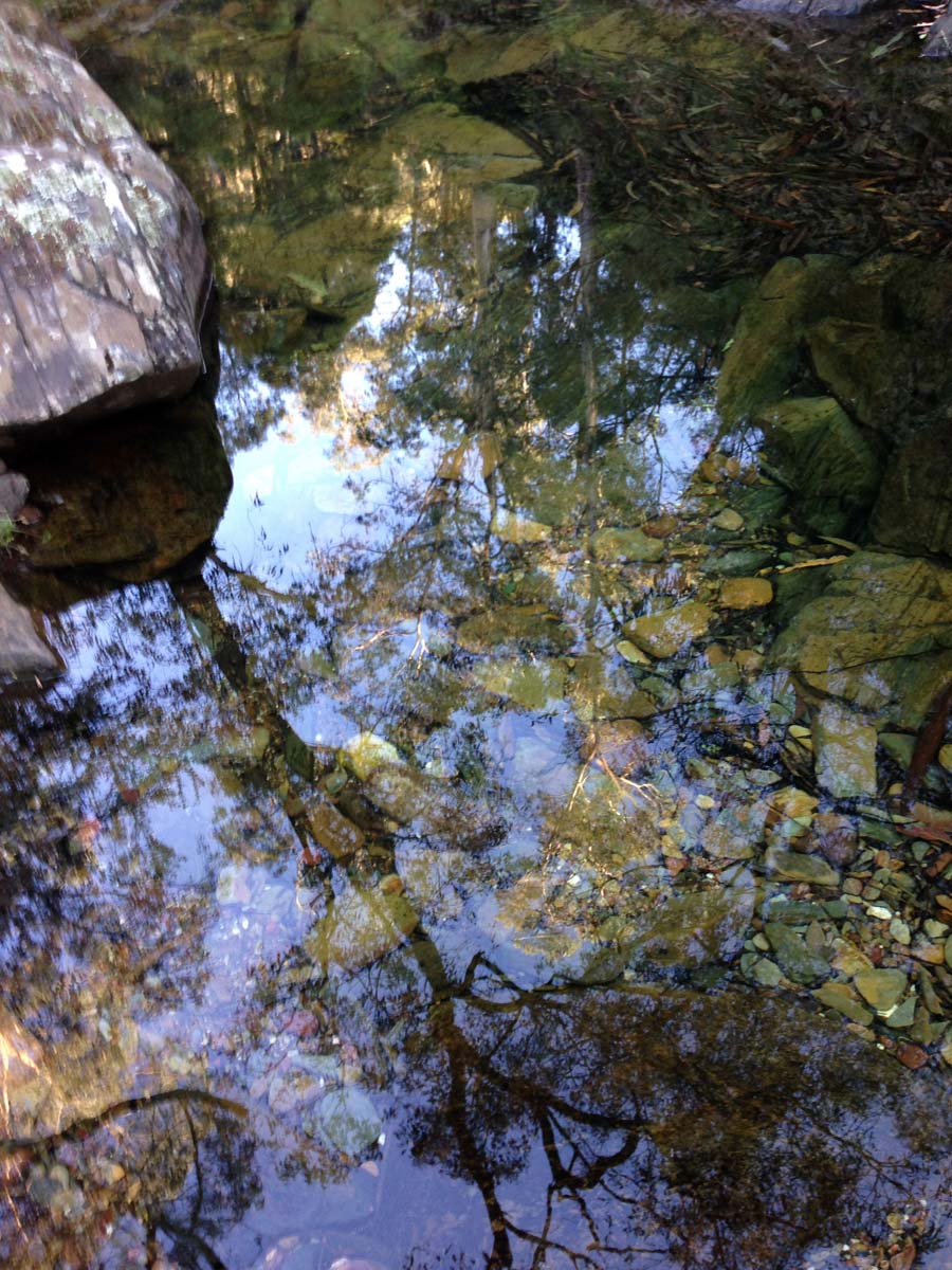 Clearwater gully hike 14