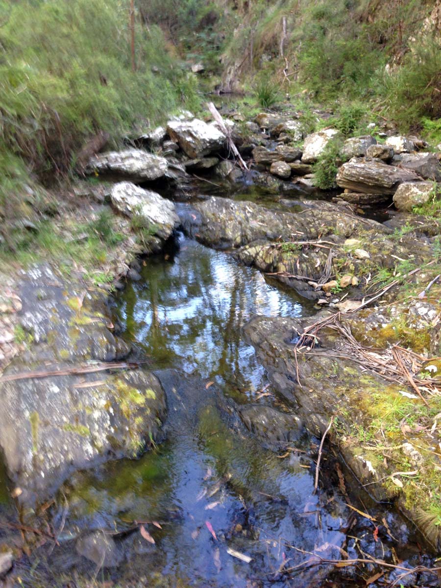 Clearwater gully hike 15