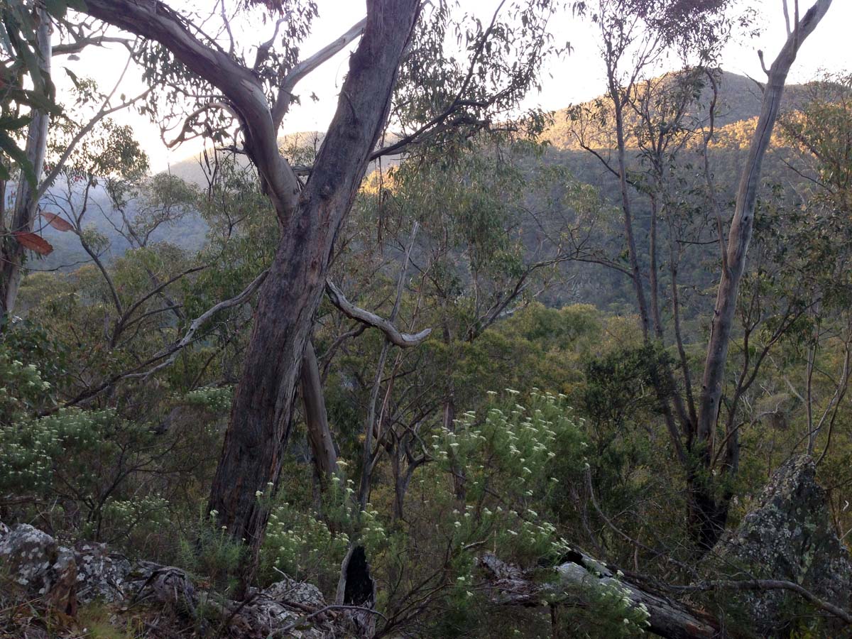 Clearwater gully hike 19