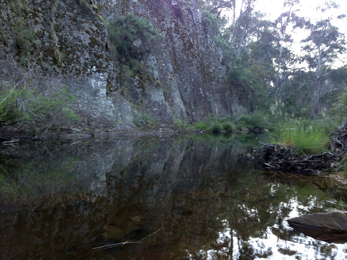 Clearwater gully hike 2