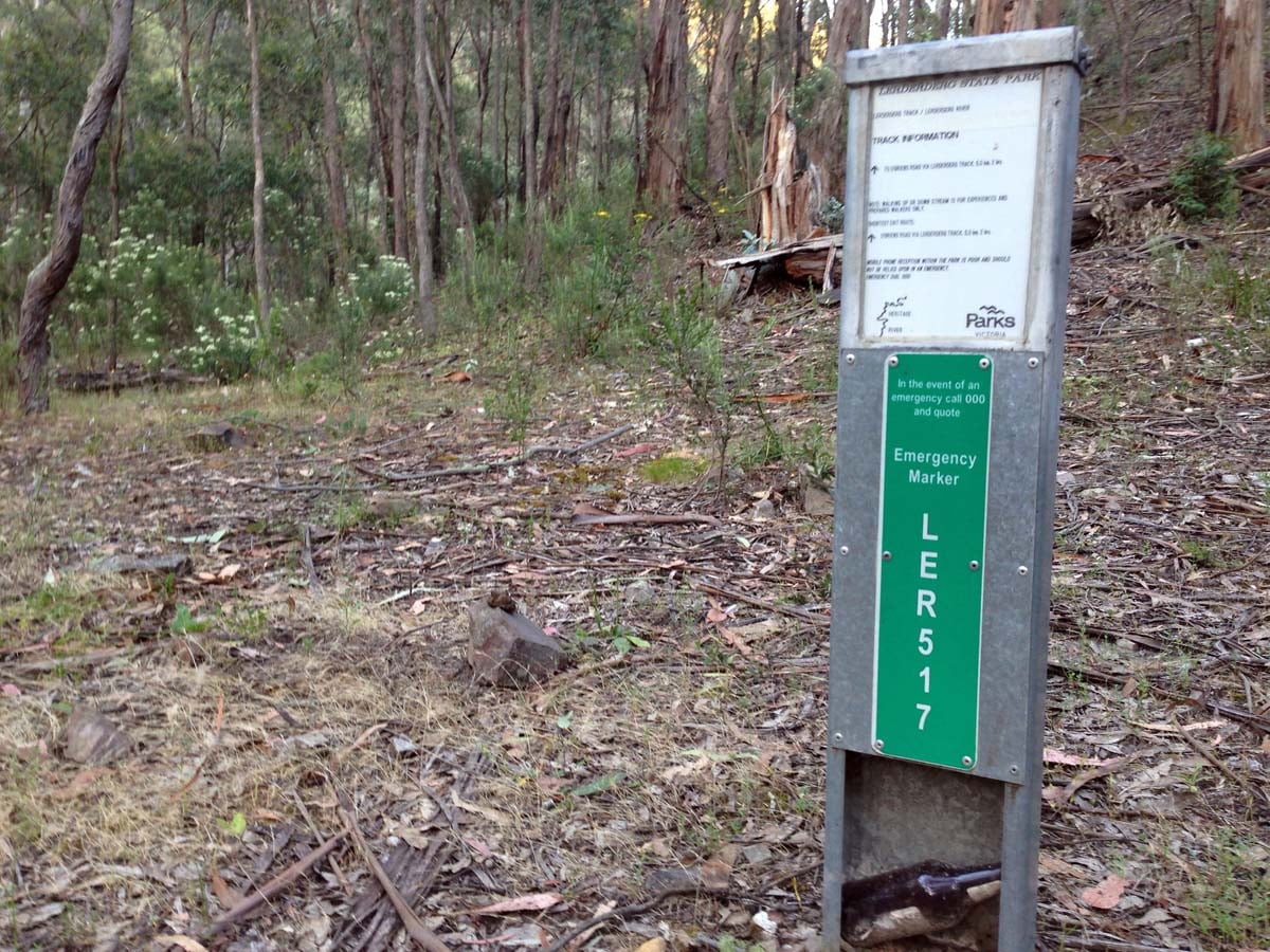 Clearwater gully hike 20