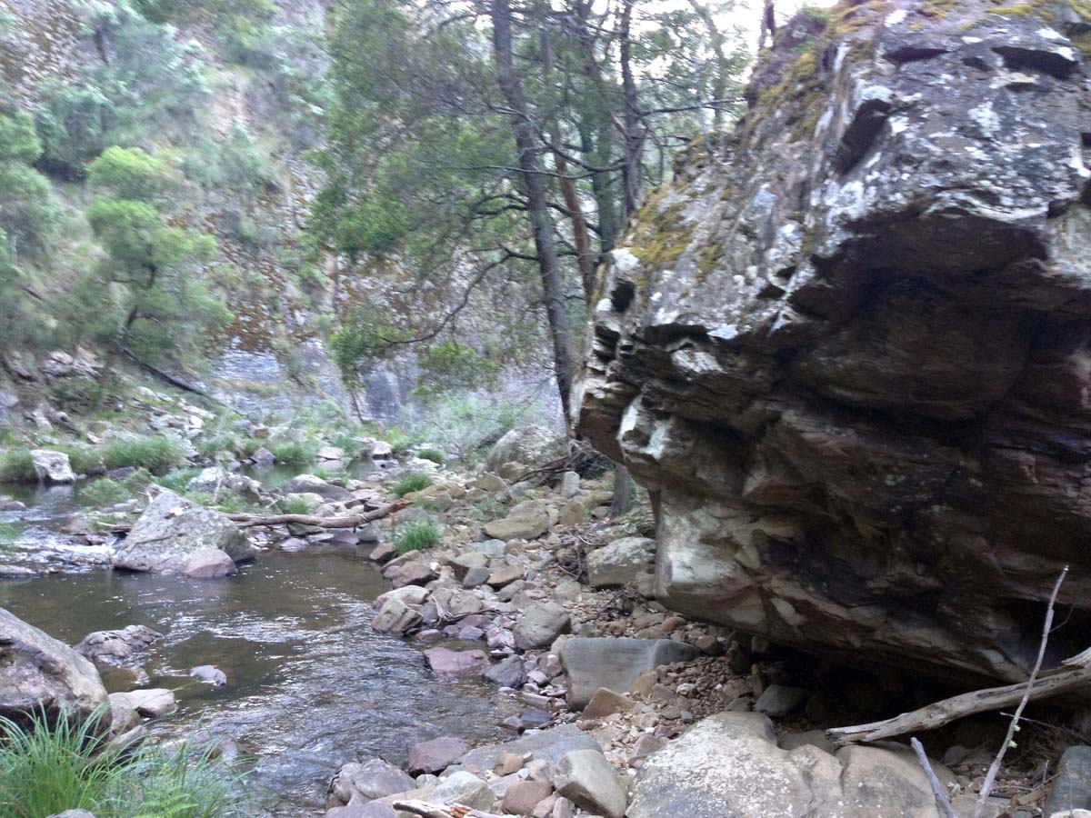 Clearwater gully hike 23