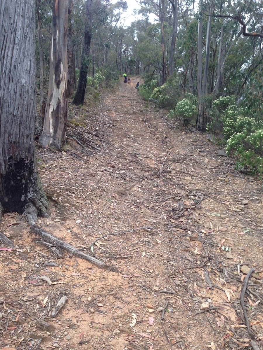 Clearwater gully hike 26