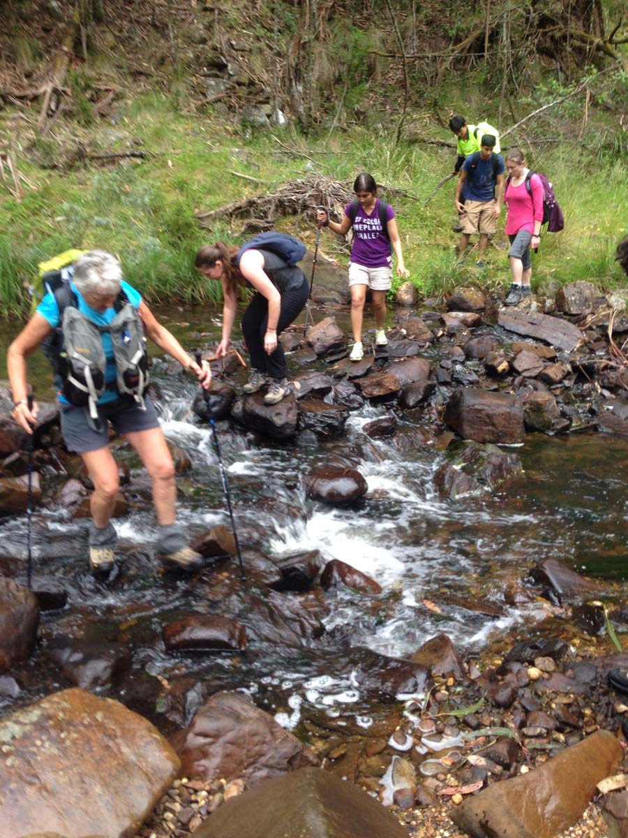 Clearwater gully hike 28