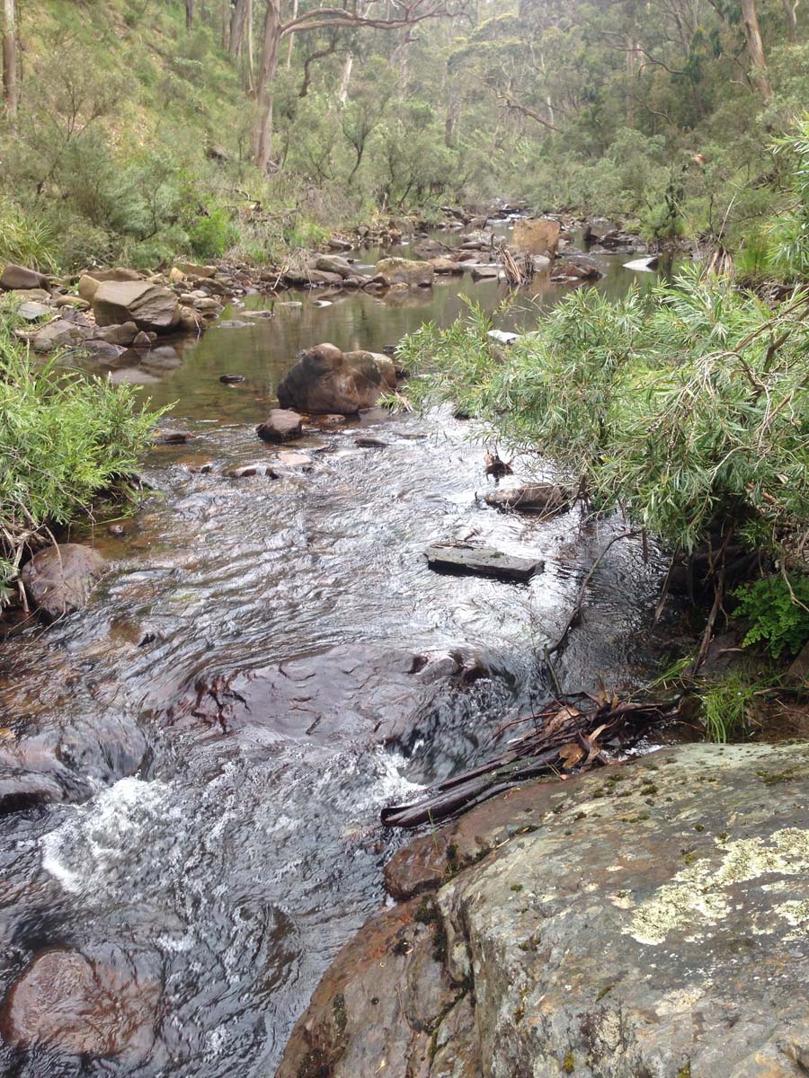 Clearwater gully hike 30