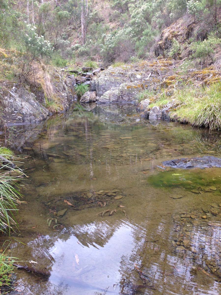 Clearwater gully hike 34