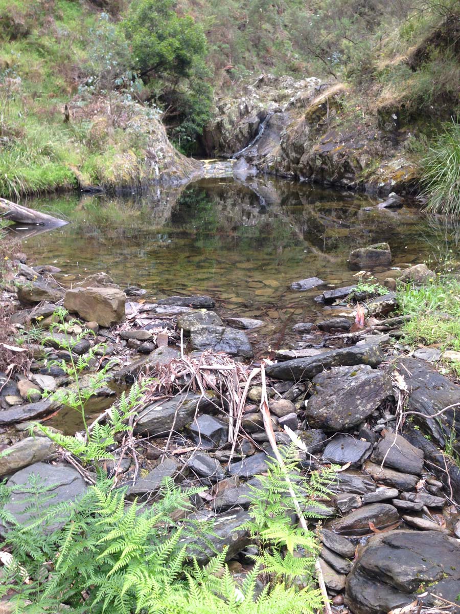 Clearwater gully hike 35