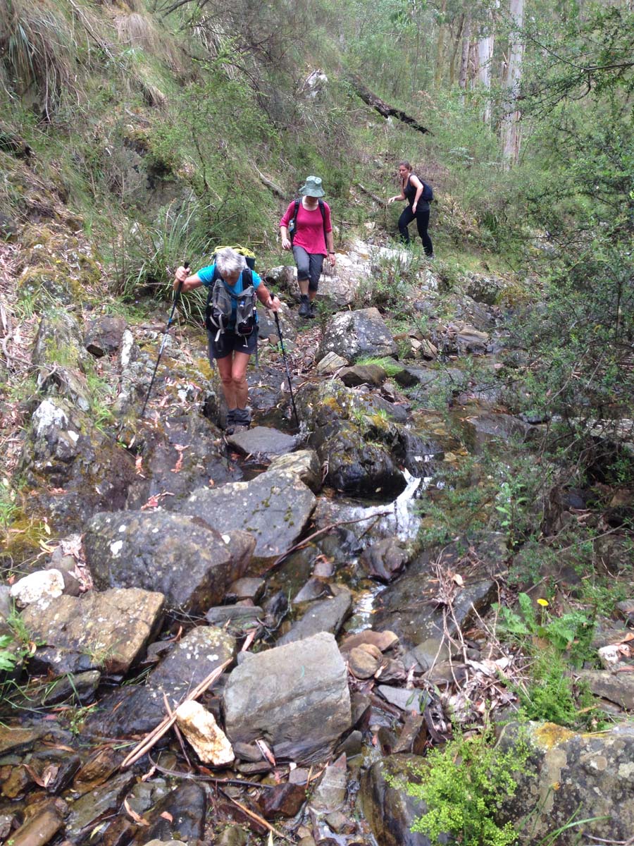 Clearwater gully hike 38