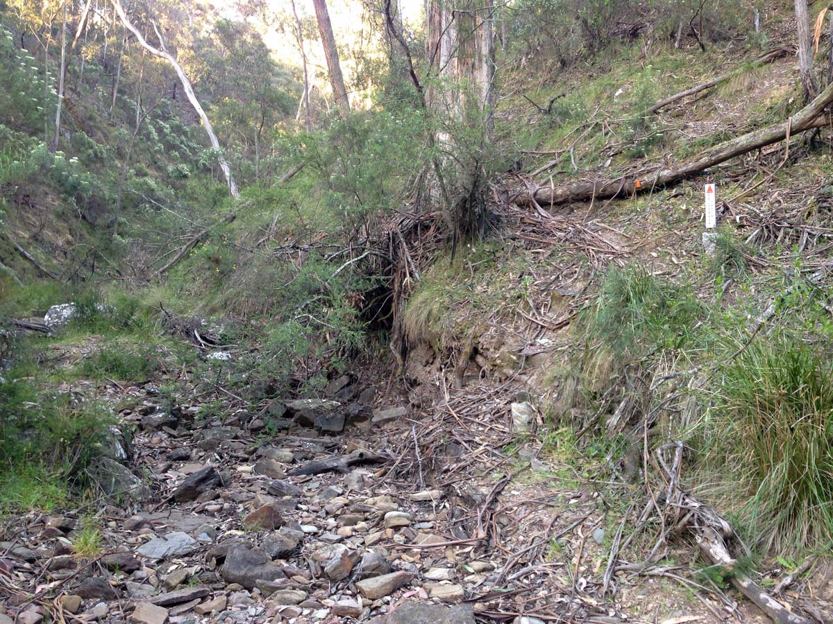 Clearwater gully hike 5