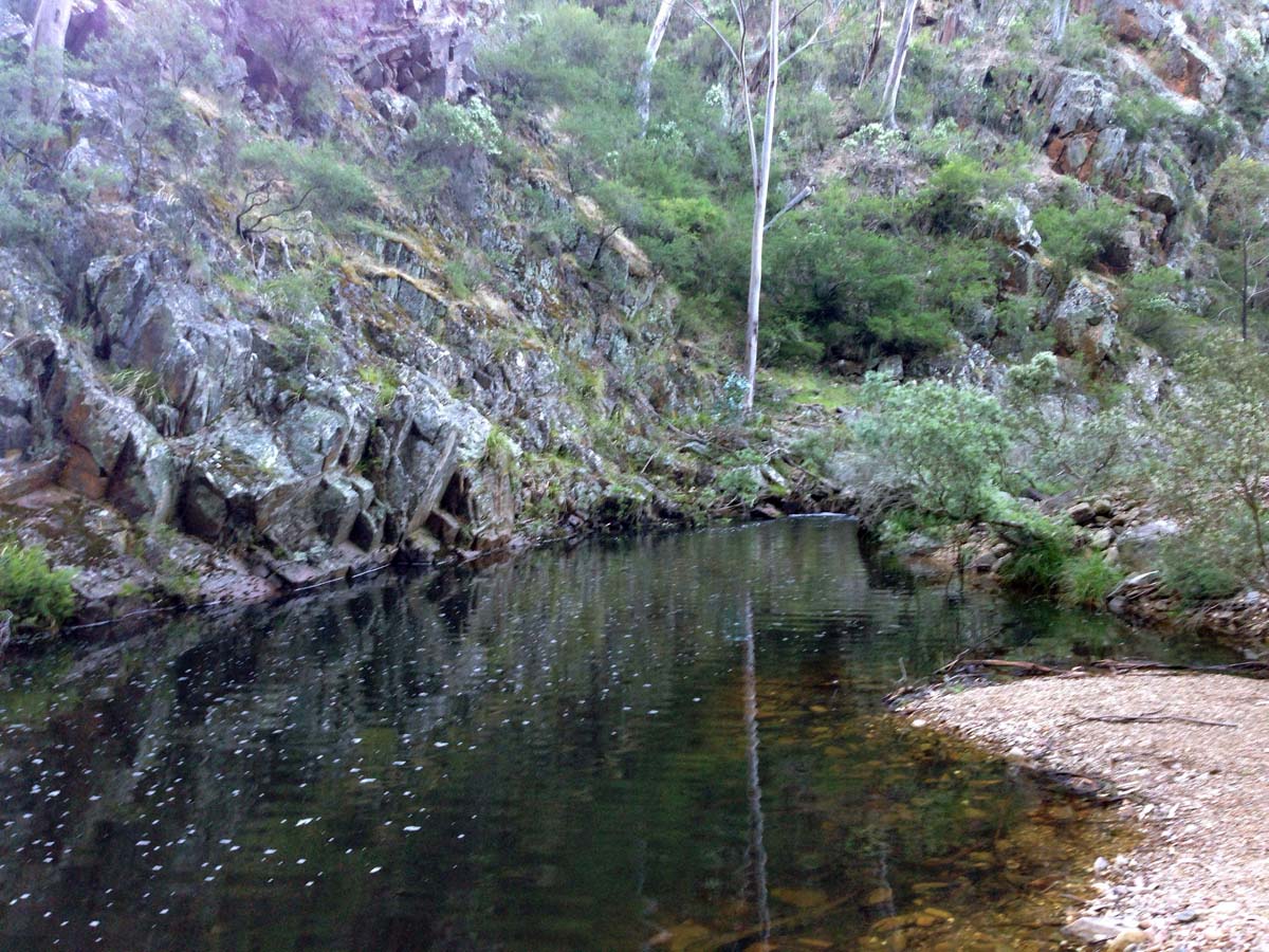 Clearwater gully hike 6