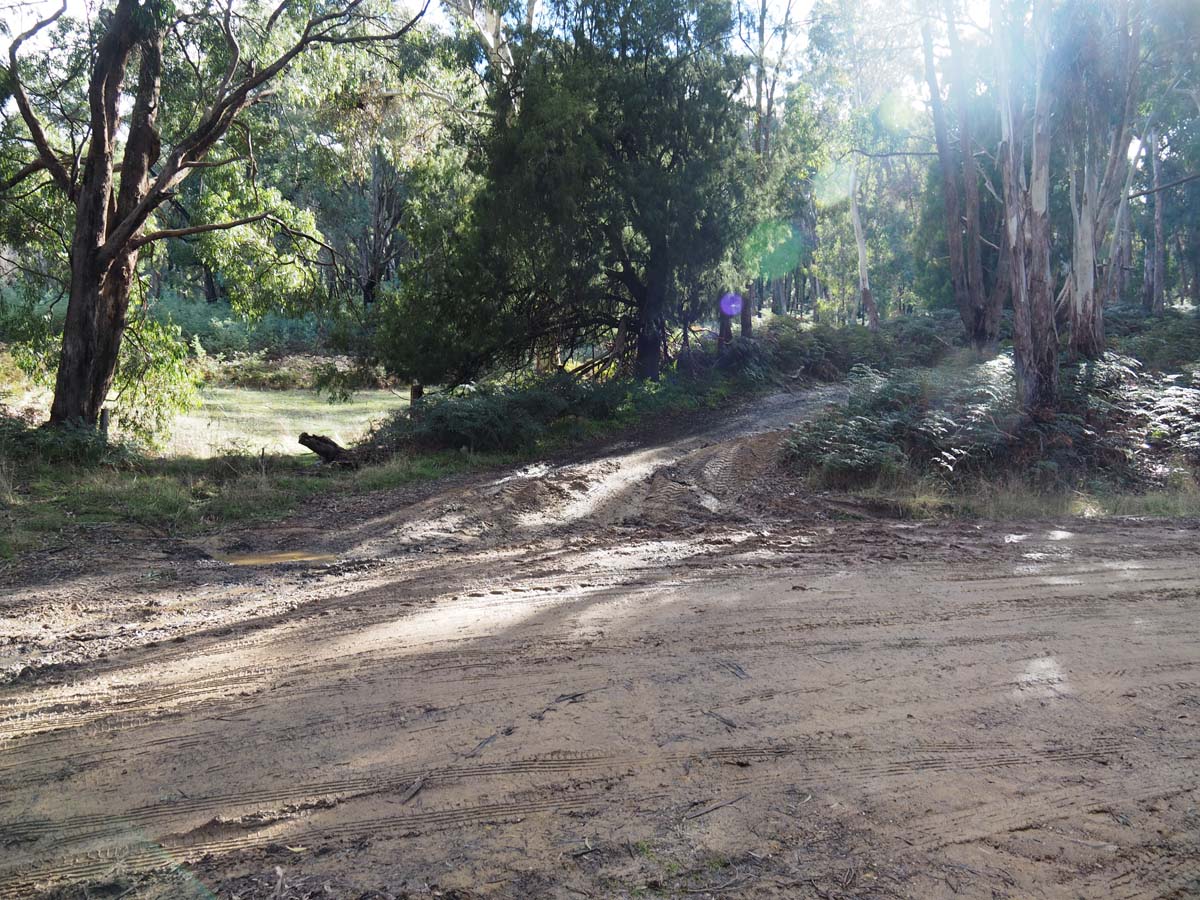 Cobaw nudist camp circuit hike 1