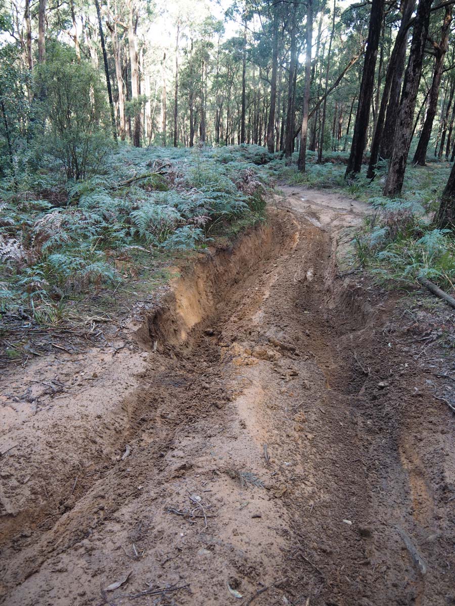 Cobaw nudist camp circuit hike 11