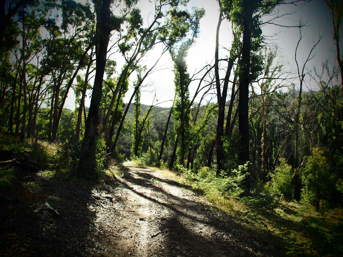 Cobaw nudist camp circuit hike 2