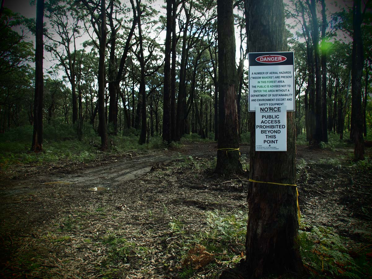 Cobaw nudist camp circuit hike 5