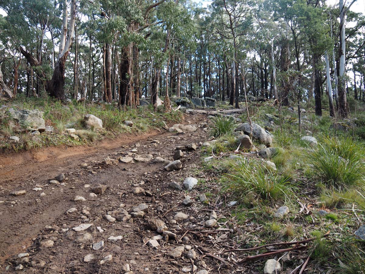 Cobaw nudist camp circuit hike 9