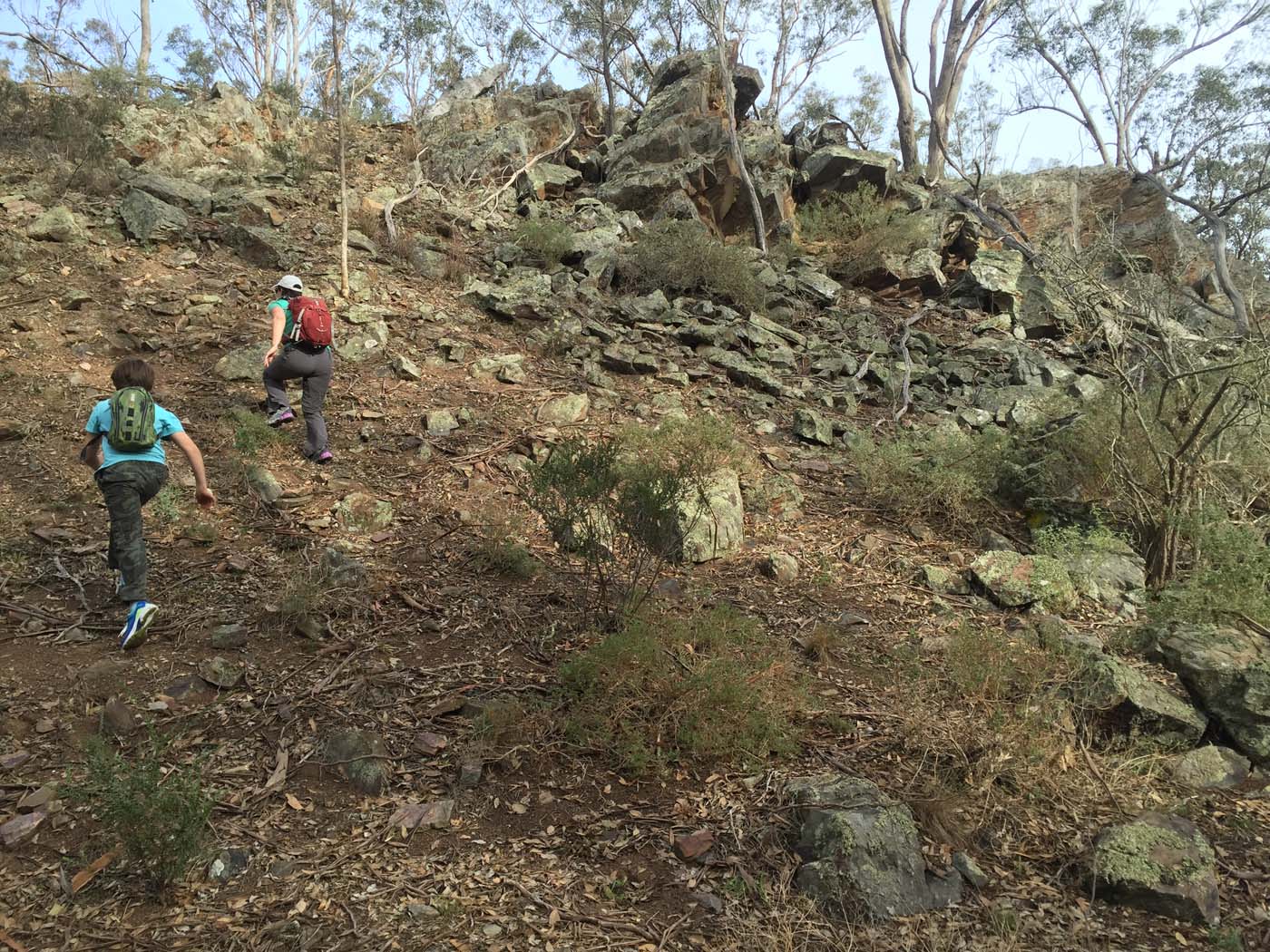 Coimadai creek long forest (1)
