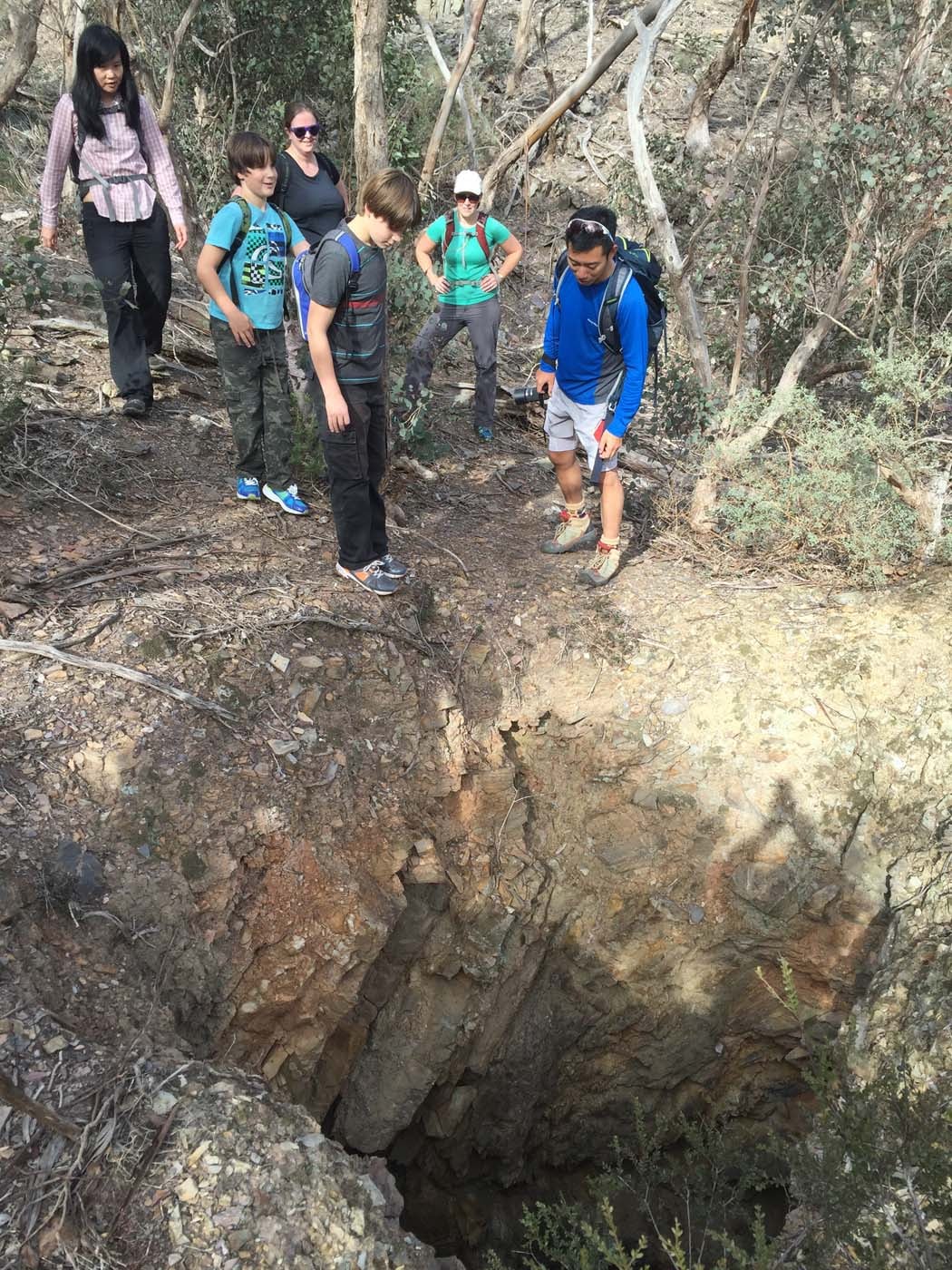 Coimadai creek long forest (14)